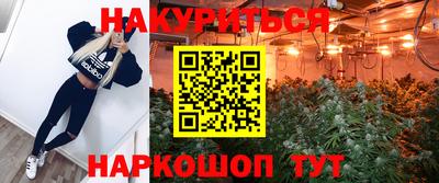 амф Дубна
